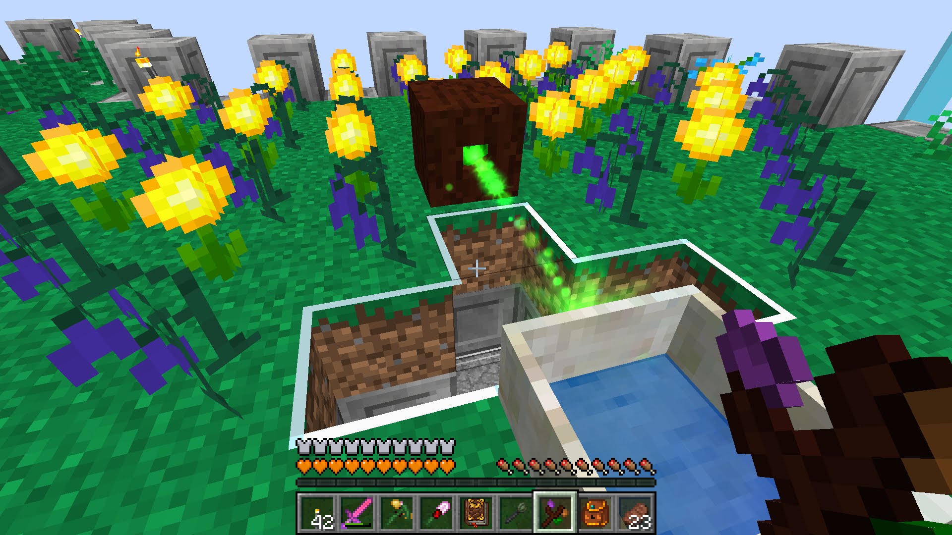 Pixelmon Generations Mod (1.12.2, 1.10.2) - Starting A New