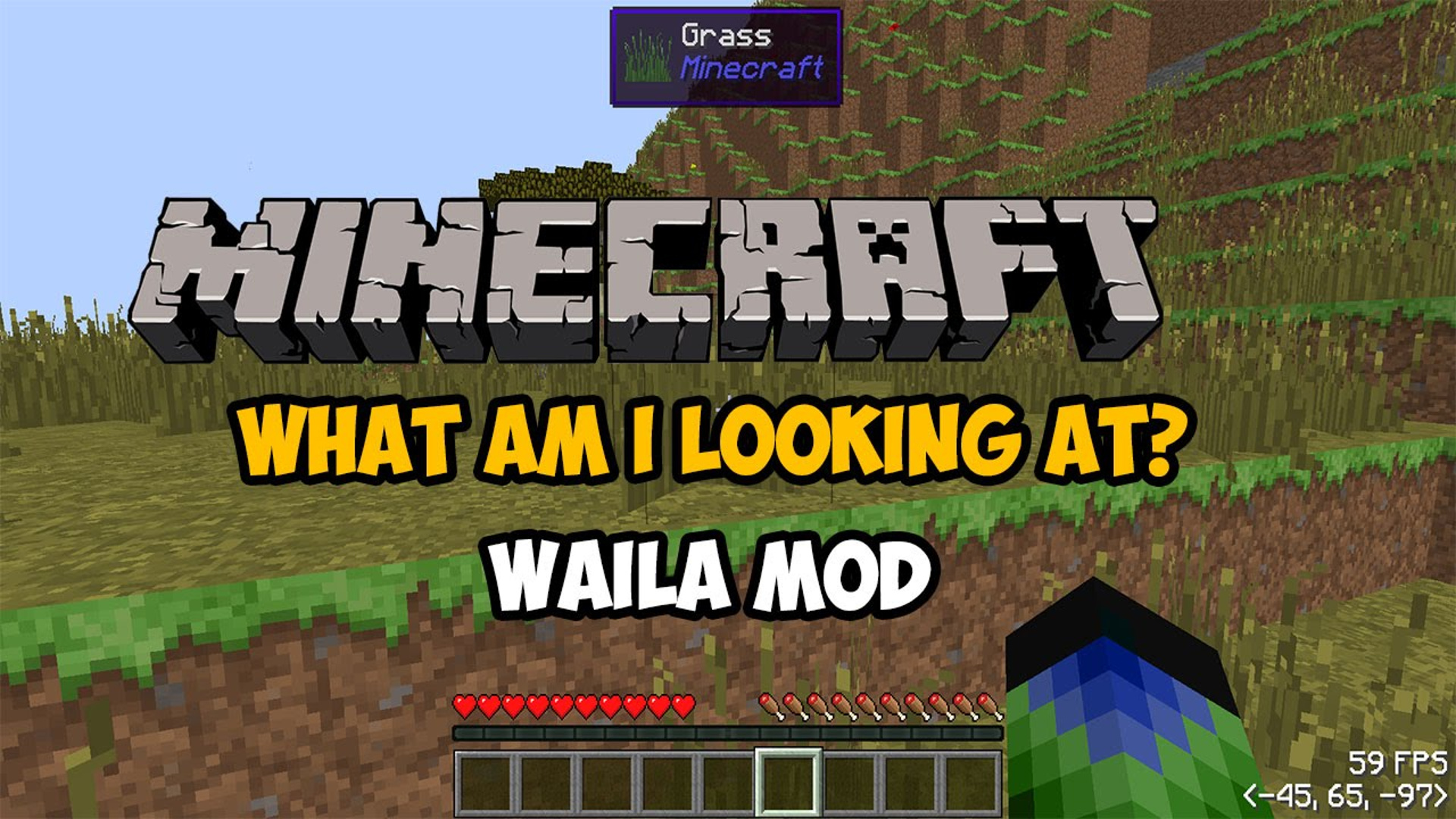 Waila Mod - 1.10.2/1.9/1.8.9/1.8/1.7.10/1.7.2 | Minecraft Modinstaller